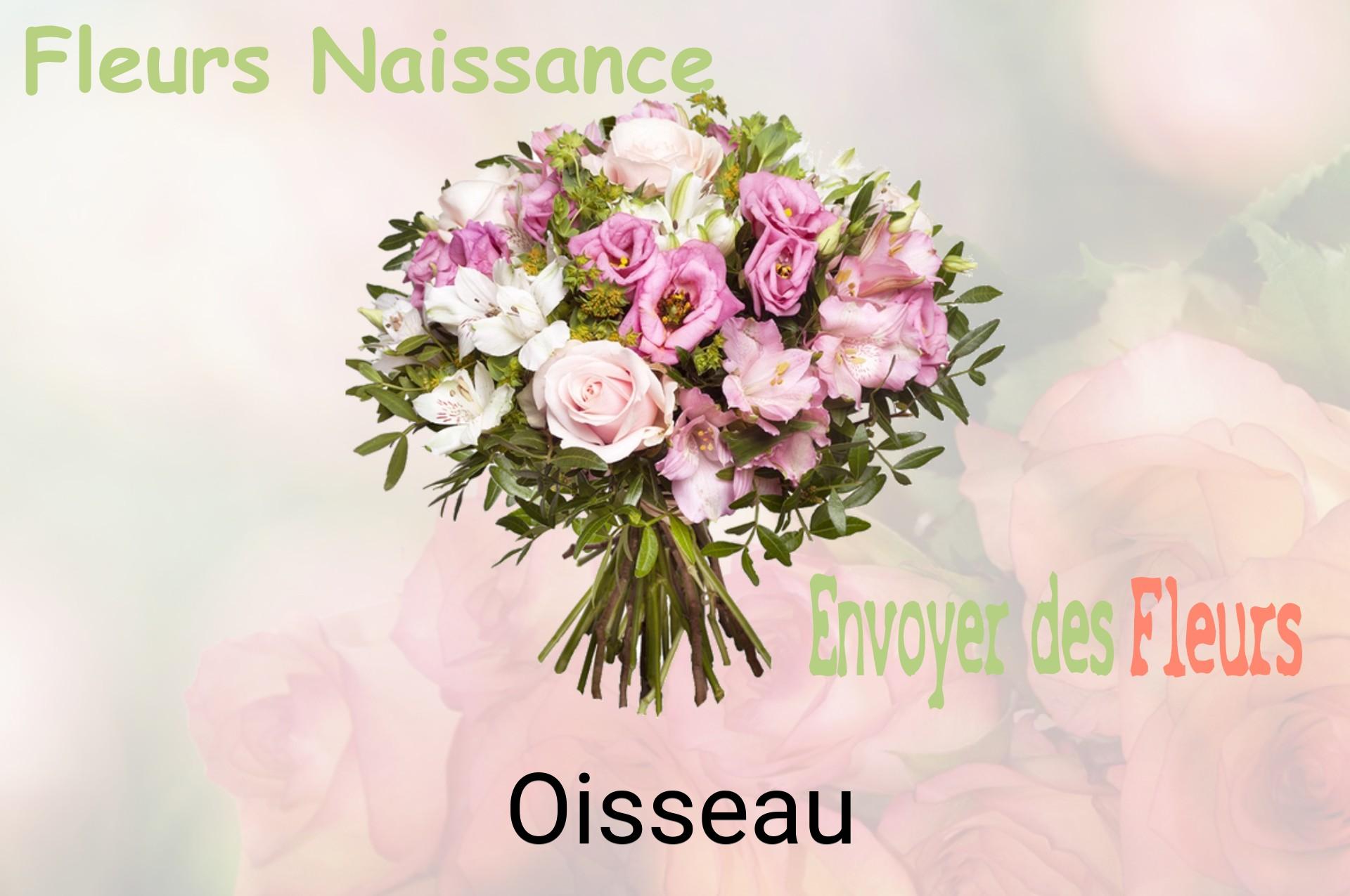 Bouquet de fleurs de naissance livré à Oisseau